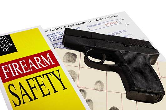 Firearm Safety