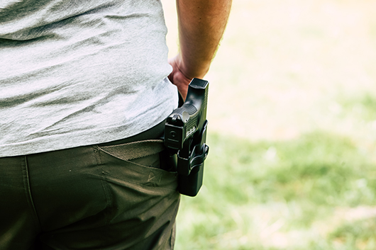 back gun holster