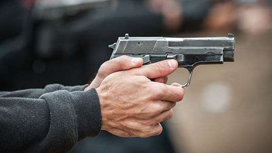 Concealed Carry for SIG Sauer P229