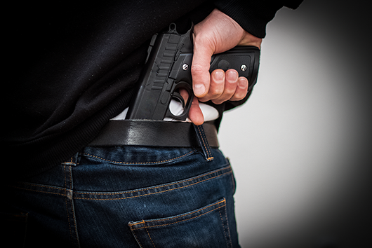 waistband holsters